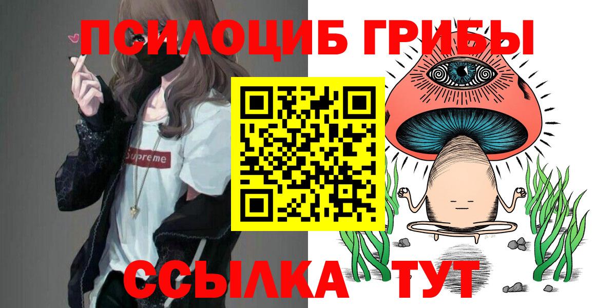 Псилоцибиновые грибы Cubensis Железноводск